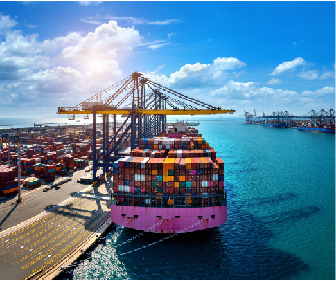 Sea Freight LCL